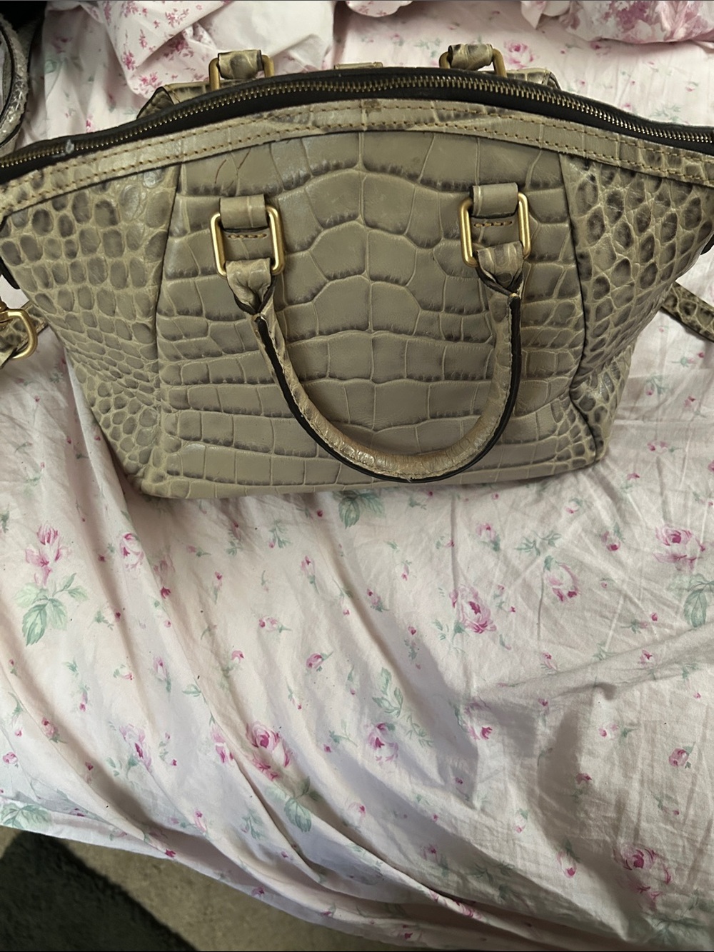 Dooney & Bourke Taupe Croc-Embossed Leather Satchel with Brass Hardware - Picture 3 of 7